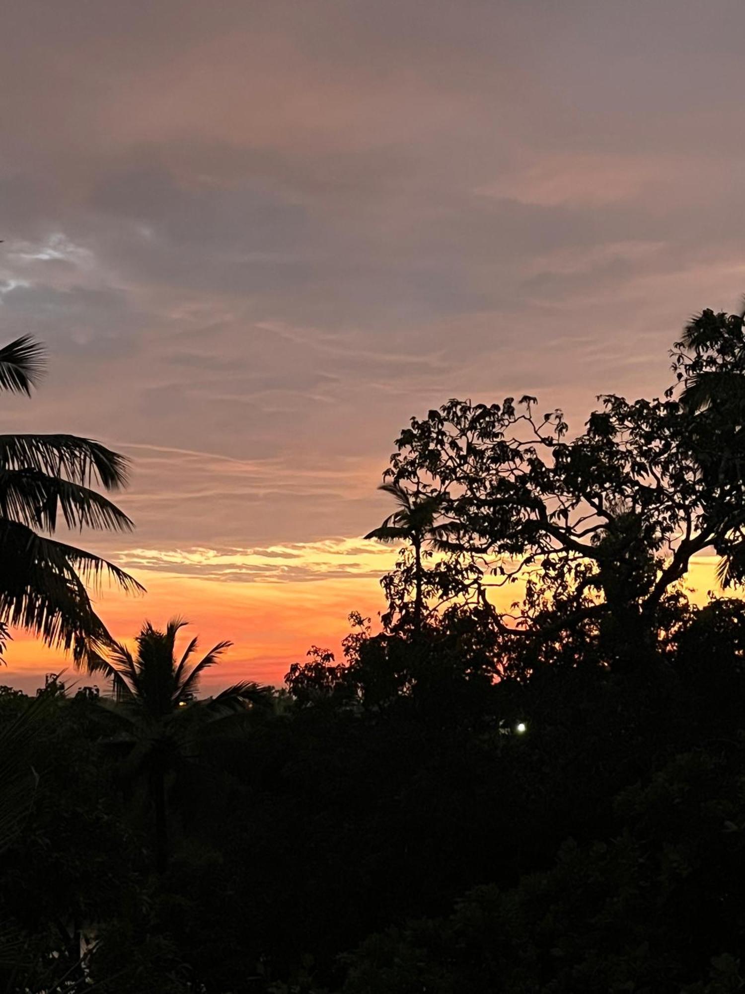 Green Nest Hostel, Baga- North Goa Arpora Eksteriør bilde