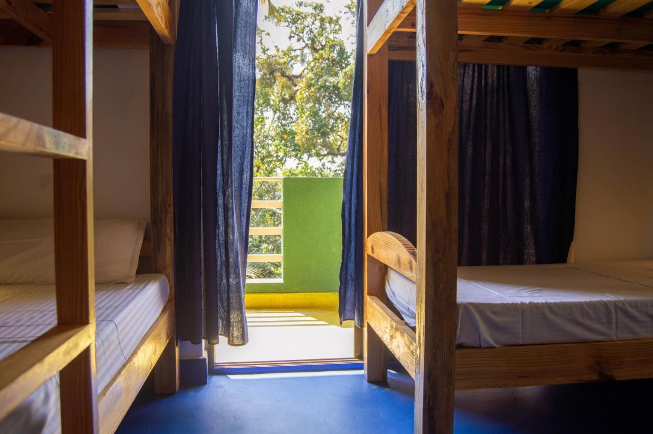 Green Nest Hostel, Baga- North Goa Arpora Eksteriør bilde